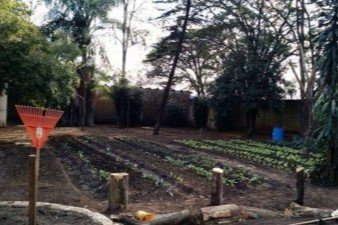 horta-e-plantação-orgânica-da-clínica-de-reabilitação-para-dependentes-químicos-em-limeira-sp-3x2